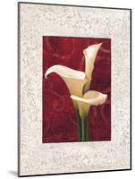 Calla Lilies-John Seba-Mounted Art Print