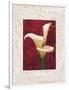 Calla Lilies-John Seba-Framed Art Print