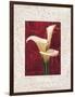 Calla Lilies-John Seba-Framed Art Print