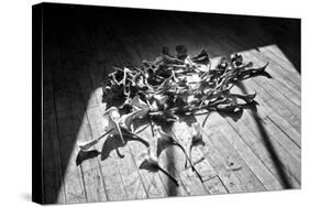 Calla Lillies on Wood Floor B/W-null-Stretched Canvas