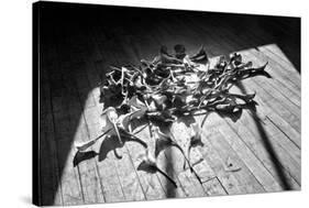 Calla Lillies on Wood Floor B/W-null-Stretched Canvas