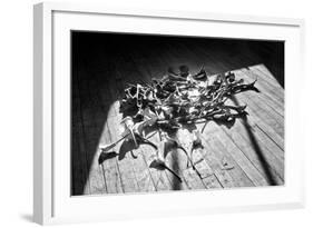 Calla Lillies on Wood Floor B/W-null-Framed Photo