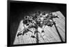 Calla Lillies on Wood Floor B/W-null-Framed Photo