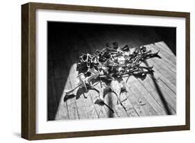 Calla Lillies on Wood Floor B/W-null-Framed Photo