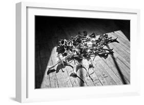 Calla Lillies on Wood Floor B/W-null-Framed Photo