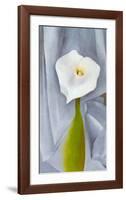 Calla Lilly On Grey-Georgia O'Keeffe-Framed Art Print