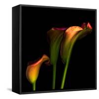 Calla Lily 2-Magda Indigo-Framed Stretched Canvas