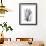 Calla Lily Gray-Albert Koetsier-Framed Premium Giclee Print displayed on a wall