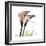 Calla Lily Happiness-Albert Koetsier-Framed Premium Giclee Print