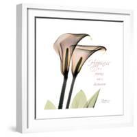 Calla Lily Happiness-Albert Koetsier-Framed Premium Giclee Print