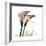 Calla Lily Happiness-Albert Koetsier-Framed Premium Giclee Print