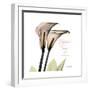 Calla Lily Happiness-Albert Koetsier-Framed Premium Giclee Print