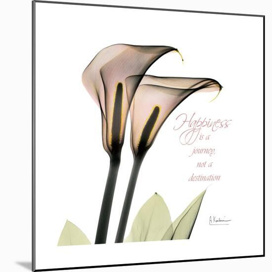 Calla Lily Happiness-Albert Koetsier-Mounted Premium Giclee Print