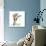 Calla Lily Happiness-Albert Koetsier-Premium Giclee Print displayed on a wall