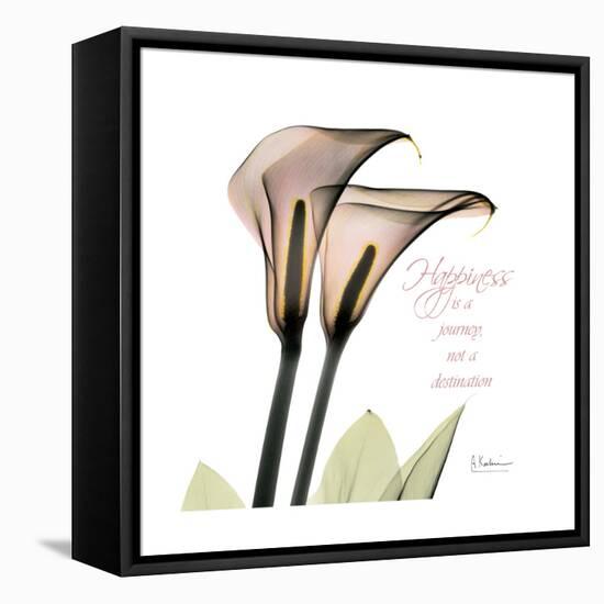 Calla Lily Happiness-Albert Koetsier-Framed Stretched Canvas