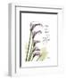 Calla Lily Hope-Albert Koetsier-Framed Art Print