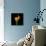 Calla Lily I-Magda Indigo-Framed Stretched Canvas displayed on a wall