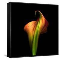 Calla Lily I-Magda Indigo-Framed Stretched Canvas