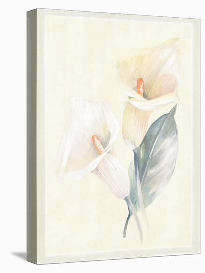 Calla Lily IV-Paul Hargittai-Stretched Canvas