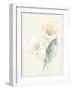 Calla Lily IV-Paul Hargittai-Framed Art Print