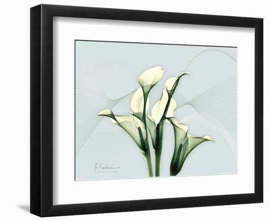 Calla Lily L275-Albert Koetsier-Framed Art Print