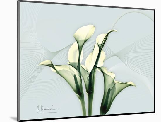 Calla Lily L275-Albert Koetsier-Mounted Premium Giclee Print