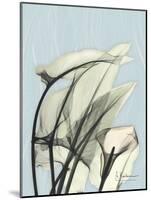 Calla Lily Leaves-Albert Koetsier-Mounted Art Print