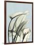 Calla Lily Leaves-Albert Koetsier-Framed Art Print