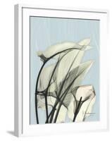 Calla Lily Leaves-Albert Koetsier-Framed Art Print