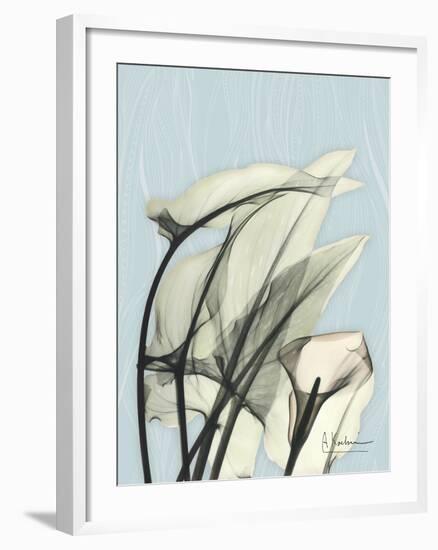 Calla Lily Leaves-Albert Koetsier-Framed Art Print