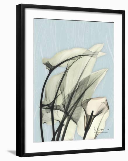 Calla Lily Leaves-Albert Koetsier-Framed Art Print