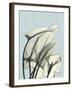 Calla Lily Leaves-Albert Koetsier-Framed Art Print