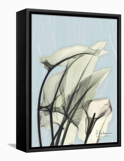 Calla Lily Leaves-Albert Koetsier-Framed Stretched Canvas