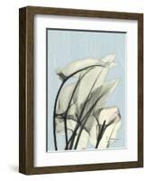 Calla Lily Leaves-Albert Koetsier-Framed Art Print