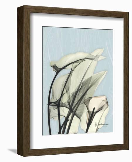 Calla Lily Leaves-Albert Koetsier-Framed Art Print