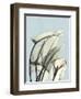 Calla Lily Leaves-Albert Koetsier-Framed Art Print