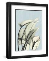 Calla Lily Leaves-Albert Koetsier-Framed Art Print