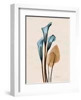 Calla Lily Moments-Albert Koetsier-Framed Art Print