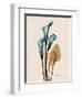 Calla Lily Moments-Albert Koetsier-Framed Art Print