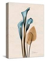 Calla Lily Moments-Albert Koetsier-Stretched Canvas