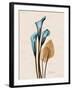 Calla Lily Moments-Albert Koetsier-Framed Art Print