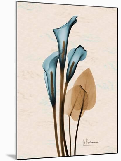 Calla Lily Moments-Albert Koetsier-Mounted Art Print