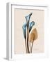 Calla Lily Moments-Albert Koetsier-Framed Art Print