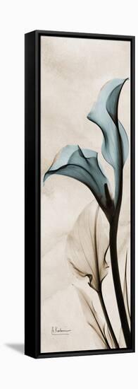 Calla Lily Moments-Albert Koetsier-Framed Stretched Canvas