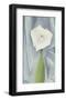 Calla Lily on Grey, 1928-Georgia O'Keeffe-Framed Art Print