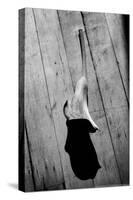 Calla Lily on Wooden Floor-null-Stretched Canvas