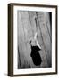 Calla Lily on Wooden Floor-null-Framed Photo
