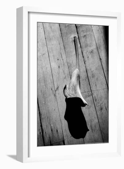 Calla Lily on Wooden Floor-null-Framed Photo