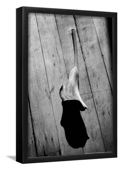 Poster, , large
