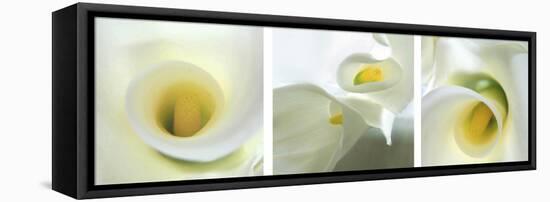 Calla Lily Triptych-Anna Miller-Framed Stretched Canvas